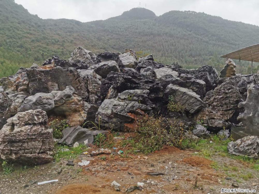 风景石、假山石大量有货，有需要的欢迎联系 - 新手上路 - 岳阳生活社区 - 岳阳28生活网 yy.28life.com