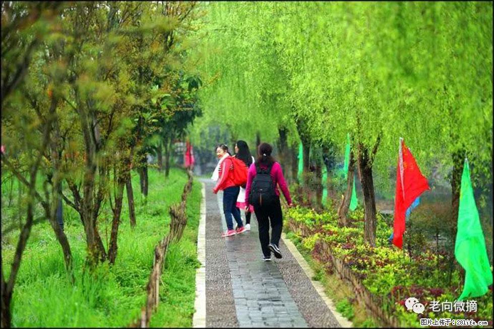 【春天，广西桂林灌阳县向您发出邀请！】江口老街又逢春 - 游山玩水 - 岳阳生活社区 - 岳阳28生活网 yy.28life.com