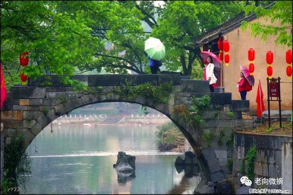 【春天，广西桂林灌阳县向您发出邀请！】江口老街又逢春 - 游山玩水 - 岳阳生活社区 - 岳阳28生活网 yy.28life.com