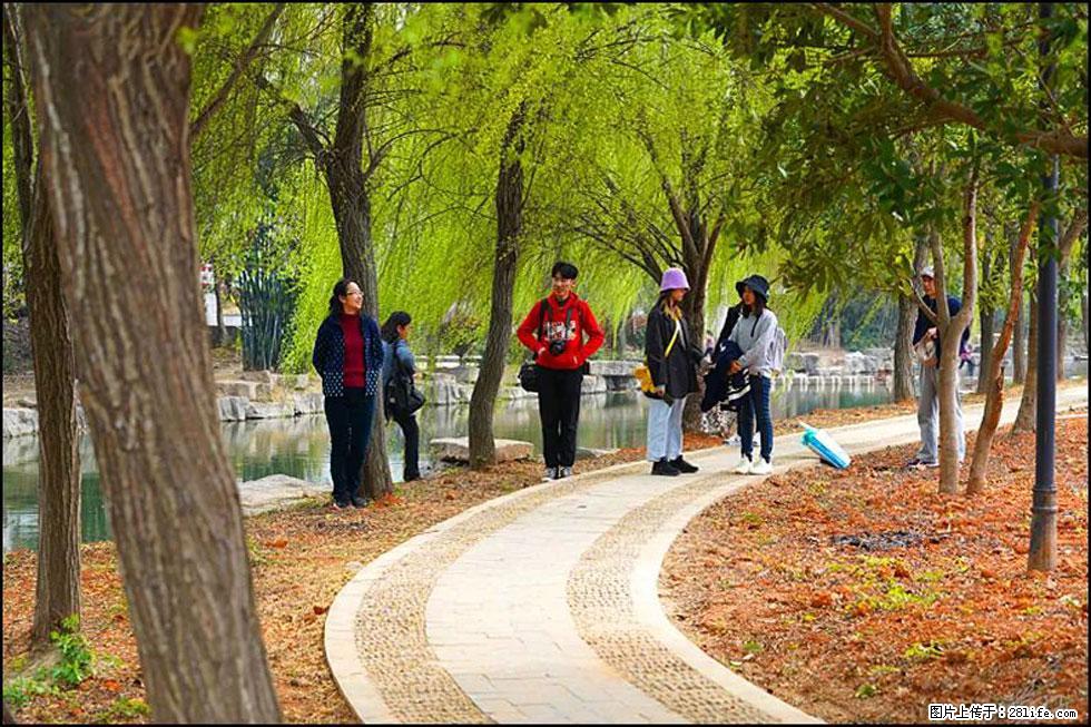 【春天，广西桂林灌阳县向您发出邀请！】江口老街又逢春 - 游山玩水 - 岳阳生活社区 - 岳阳28生活网 yy.28life.com