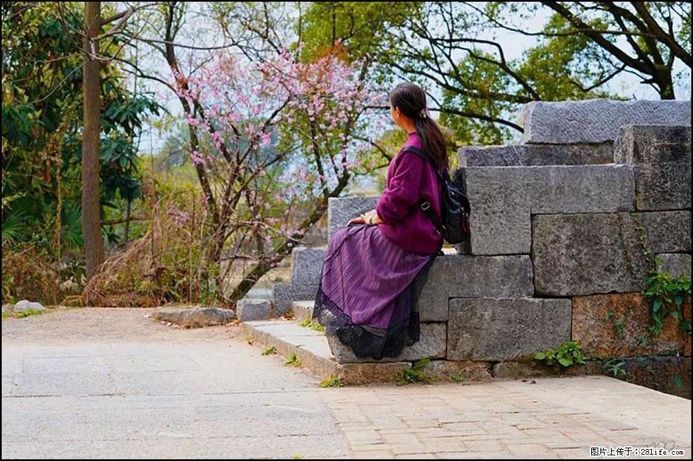 【春天，广西桂林灌阳县向您发出邀请！】江口老街又逢春 - 游山玩水 - 岳阳生活社区 - 岳阳28生活网 yy.28life.com