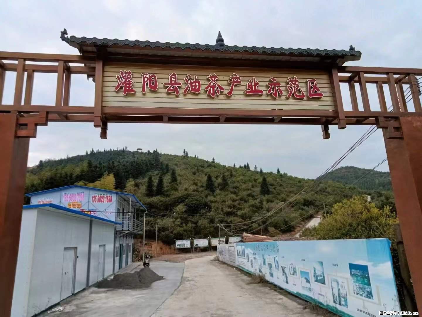 【灌阳县油茶产业示范区】一个有着充实的精神生活的人,对待身外之物自会有一种淡泊的态度 - 土特产 - 饮食特产 - 岳阳分类信息 - 岳阳28生活网 yy.28life.com