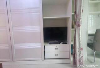 房博士 新路口妇幼旁 中建岳阳中心 精装单身公寓可拎包入住 - 岳阳28生活网 yy.28life.com