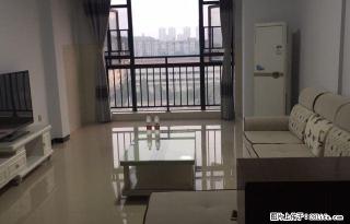 房博士青年路立交桥附近 雅典新城旁 电梯两房降价急租！ - 岳阳28生活网 yy.28life.com