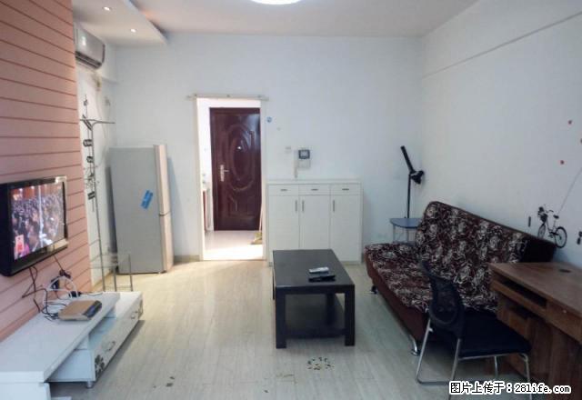 房博士 土桥步行街左岸巴陵精装单身公寓,家电齐全 拎包入住 - 房屋出租 - 房屋租售 - 岳阳分类信息 - 岳阳28生活网 yy.28life.com