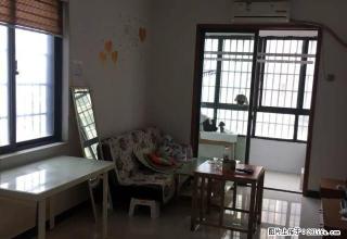 步行街《巴陵尚都》一室一厅户型带独立阳台飘窗,欲租从速! - 岳阳28生活网 yy.28life.com