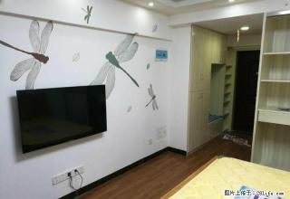 安居乐步行街 精品公寓家电齐全拎包入住各种装修都有 来电即看 - 岳阳28生活网 yy.28life.com
