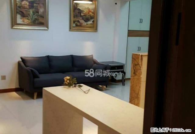 房博士房子在东茅岭步行街一医院百盛康星天虹附近的精品公寓楼 - 房屋出租 - 房屋租售 - 岳阳分类信息 - 岳阳28生活网 yy.28life.com