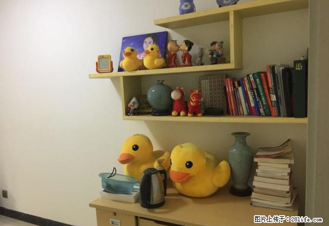 庙坡碧玉湾 豪装3房出租 可直接拎包入住 - 房屋出租 - 房屋租售 - 岳阳分类信息 - 岳阳28生活网 yy.28life.com