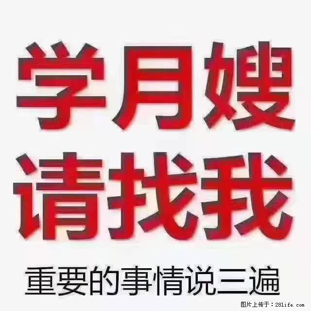 【招聘】月嫂，上海徐汇区 - 职场交流 - 岳阳生活社区 - 岳阳28生活网 yy.28life.com