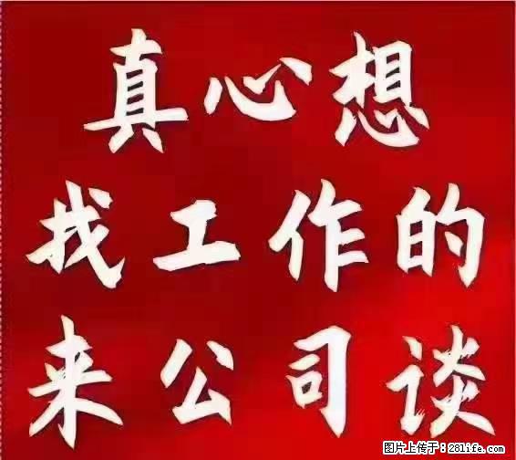 【上海】国企，医院招两名男保安，55岁以下，身高1.7米以上，无犯罪记录不良嗜好 - 职场交流 - 岳阳生活社区 - 岳阳28生活网 yy.28life.com