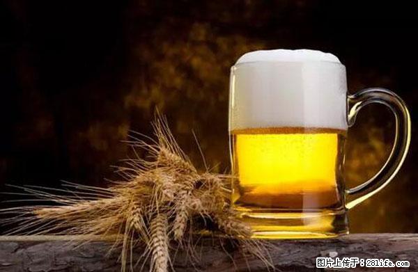 原来它这么毒，然而竟然满大街都是.... - 岳阳生活资讯 - 岳阳28生活网 yy.28life.com