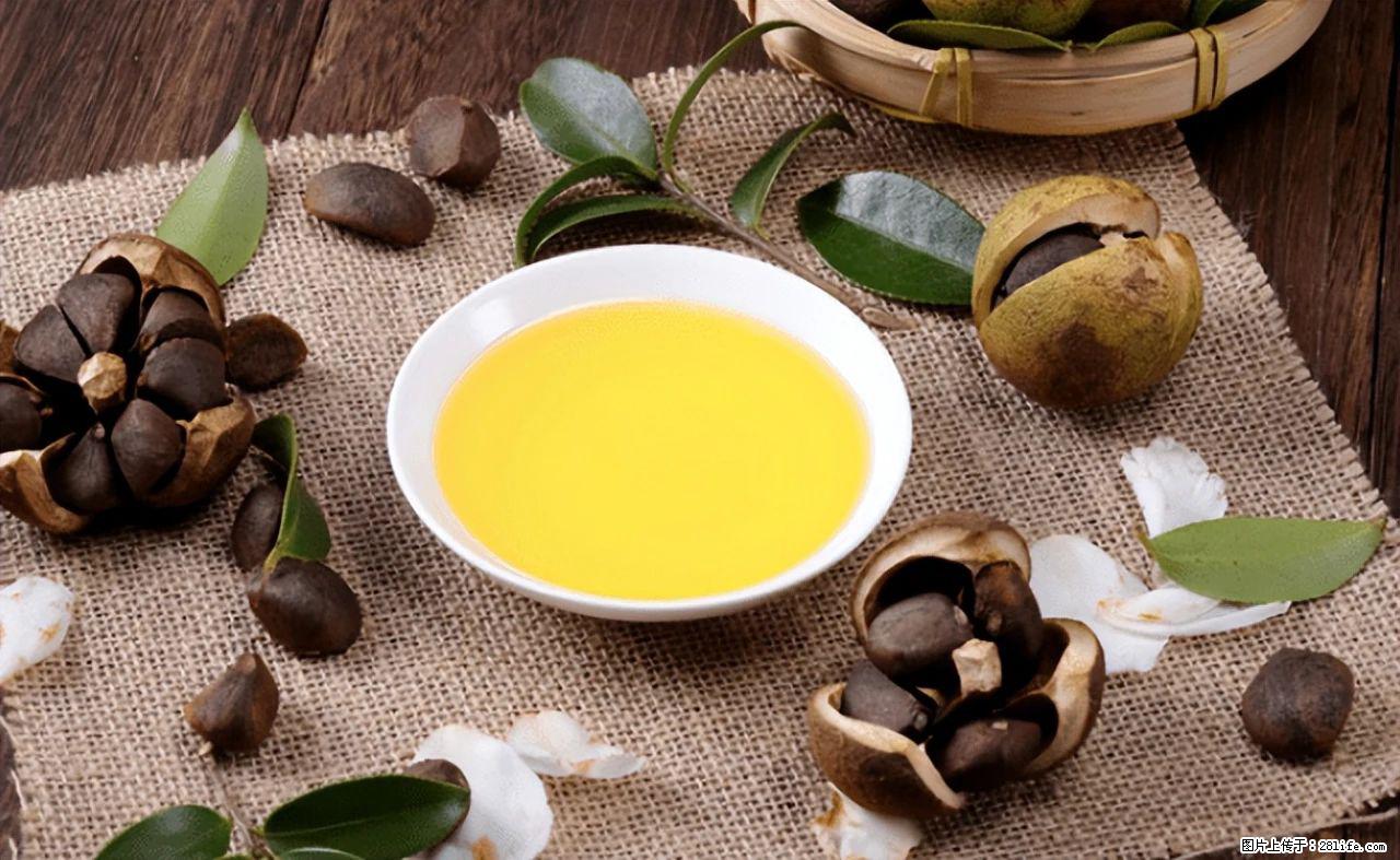 揭秘茶油的5大核心营养成分!被称为人体健康的“守护盾”! - 岳阳生活资讯 - 岳阳28生活网 yy.28life.com