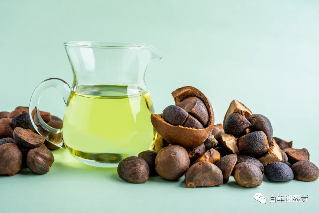 世界没有真相,只有认知,最好的食用油是中国的山茶油! - 岳阳生活资讯 - 岳阳28生活网 yy.28life.com