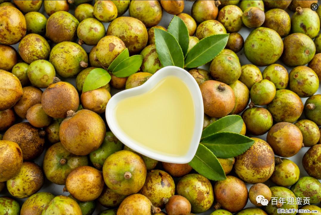 世界没有真相,只有认知,最好的食用油是中国的山茶油! - 岳阳生活资讯 - 岳阳28生活网 yy.28life.com