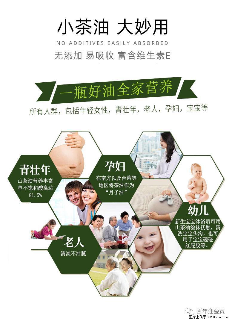 世界没有真相,只有认知,最好的食用油是中国的山茶油! - 岳阳生活资讯 - 岳阳28生活网 yy.28life.com