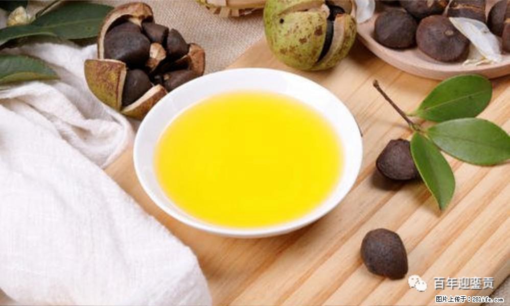 世界没有真相,只有认知,最好的食用油是中国的山茶油! - 岳阳生活资讯 - 岳阳28生活网 yy.28life.com