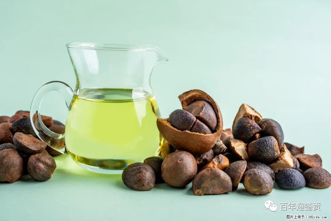 世界没有真相，只有认知，最好的食用油是中国的山茶油！ - 岳阳生活资讯 - 岳阳28生活网 yy.28life.com