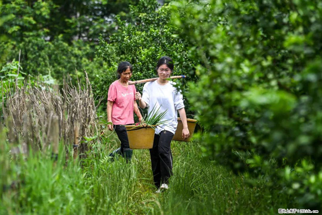 全网追的“扁担女孩”,找了一份暑假工,时薪12元 - 岳阳生活资讯 - 岳阳28生活网 yy.28life.com