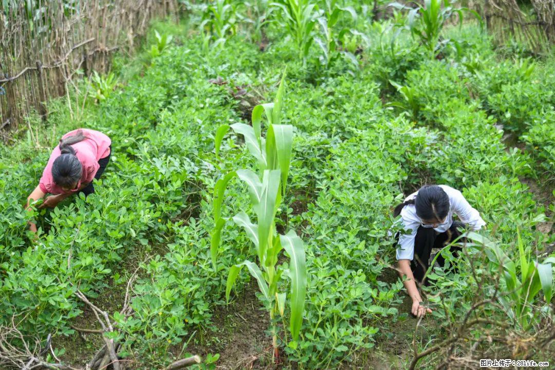 全网追的“扁担女孩”,找了一份暑假工,时薪12元 - 岳阳生活资讯 - 岳阳28生活网 yy.28life.com