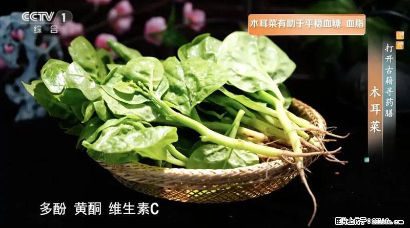 比牛奶补钙还厉害!凉血解毒、稳血糖...这菜冬天必吃,很多人却当草 - 岳阳生活资讯 - 岳阳28生活网 yy.28life.com