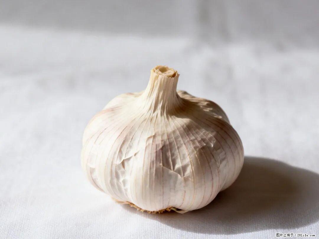 关于大蒜，除了“天然抗生素”，这4个谣言更该警惕! - 岳阳生活资讯 - 岳阳28生活网 yy.28life.com