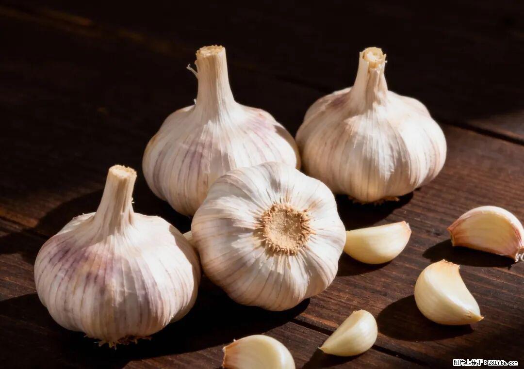 关于大蒜，除了“天然抗生素”，这4个谣言更该警惕! - 岳阳生活资讯 - 岳阳28生活网 yy.28life.com